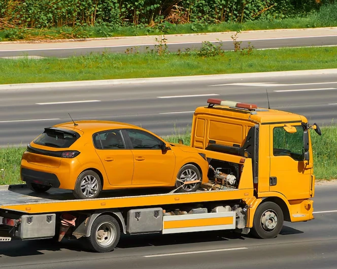 Tralo paslaugos - Tralas Vilniuje - Traliukas Vilniuje