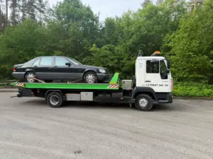 viber_image_2026-01-26_20-48-51-607